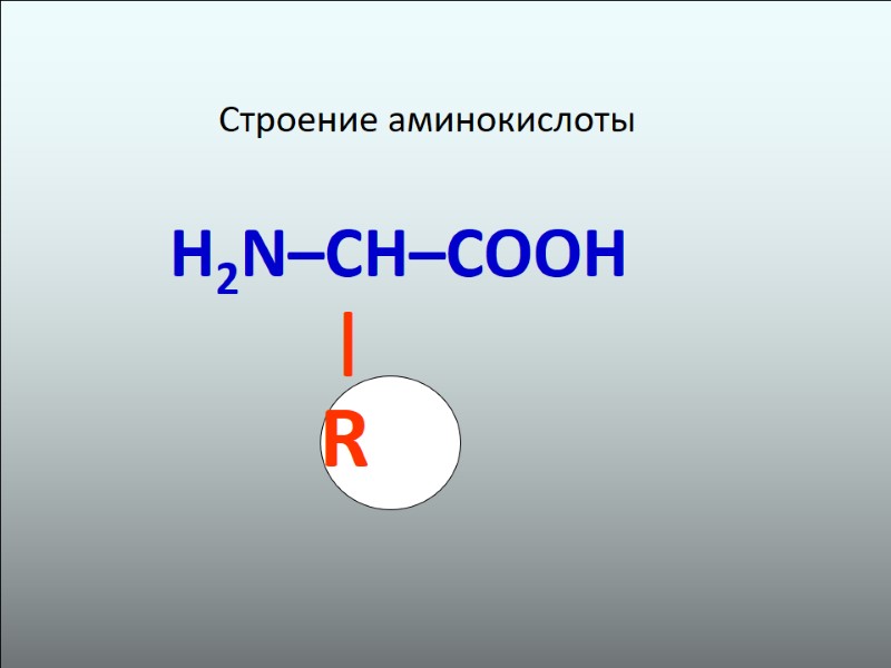 Строение аминокислоты   H2N–CH–COOH         